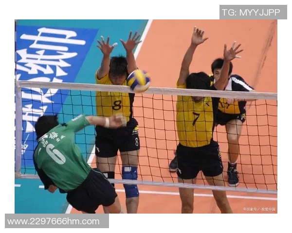 全国锦标赛回顾:杭州排球队默契配合展现团队实力与竞技精神